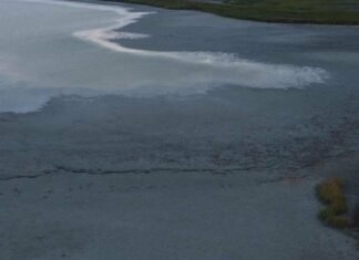 Водная катастрофа в Одесской области: лиман возле Расейки стал иловым полем, — ФОТО