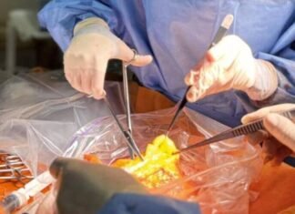 Смерть, подарившая жизнь: в Одессе провели уникальную операцию по пересадке органов