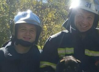 Спасатели ГСЧС освободили щенка из глубокого колодца в Одесской области, — ФОТО, — ВИДЕО