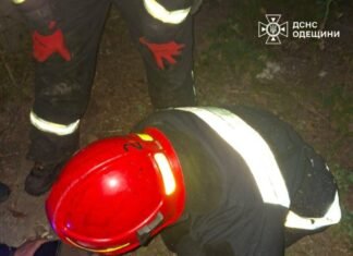 В Одессе спасатели вызволили из ловушки собаку