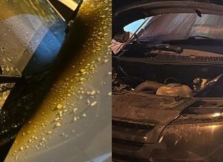 Получила 300 гривен за преступление: в Одессе ребенок подожг авто под заказ, — ФОТО
