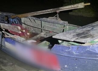Редкую рыбу на 330 тысяч гривен выловили браконьеры в Одесской области, — ФОТО