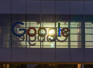 В одном из самых дорогих кампусов Google завелись клопы