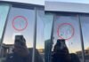 «Невидимые» надписи на Tesla Cybertruck: вандализм или дефект?