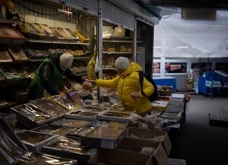 Мінекономіки прогнозує приріст ВВП України у вересні-жовтні у 3-4% та підвищене зростання до кінця року.