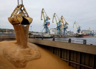 Оновлення правил в торгівлі з ЄС: Квоти на експорт окремих українських товарів зростуть в рази вже наприкінці жовтня.