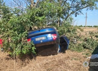 В Одесской области нетрезвый водитель опрокинул авто: травмировались четверо пассажиров