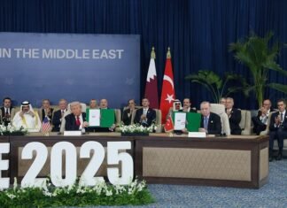 Трамп сподівається на підтримку Ердогана у врегулюванні війни РФ проти України та визначив Віткоффа відповідальним за цей процес.