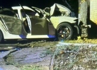 18-летний водитель BMW въехал в дерево на Шевченко: погиб 20-летний пассажир