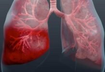 12 ноября 2025 года: какой сегодня праздник