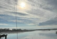 Более полумиллиона молодых рыб выпустили в водоем в Одесской области