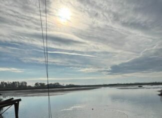 Более полумиллиона молодых рыб выпустили в водоем в Одесской области