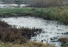 В Одесской области канализационные стоки годами лили в грунт: что скрывали местные власти