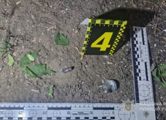 Житель Одесской области, который подорвал гранату во дворе соседей, предстанет перед судом