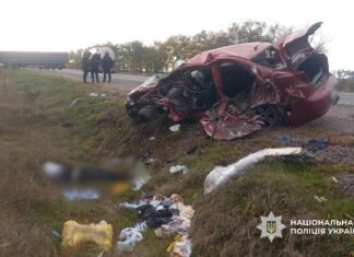 В ДТП на трассе Одесса-Рени погибла женщина, ее дети в больнице