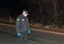 Попал под колеса нескольких грузовиков на трассе Одесса–Киев погиб мужчина