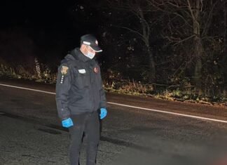 Попал под колеса нескольких грузовиков на трассе Одесса–Киев погиб мужчина