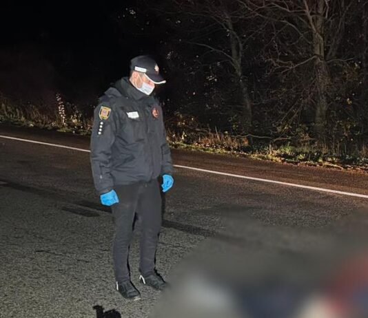 Попал под колеса нескольких грузовиков на трассе Одесса–Киев погиб мужчина