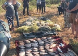В Одесской области поймали браконьера с километром сеток: суд назначил наказание, — ФОТО