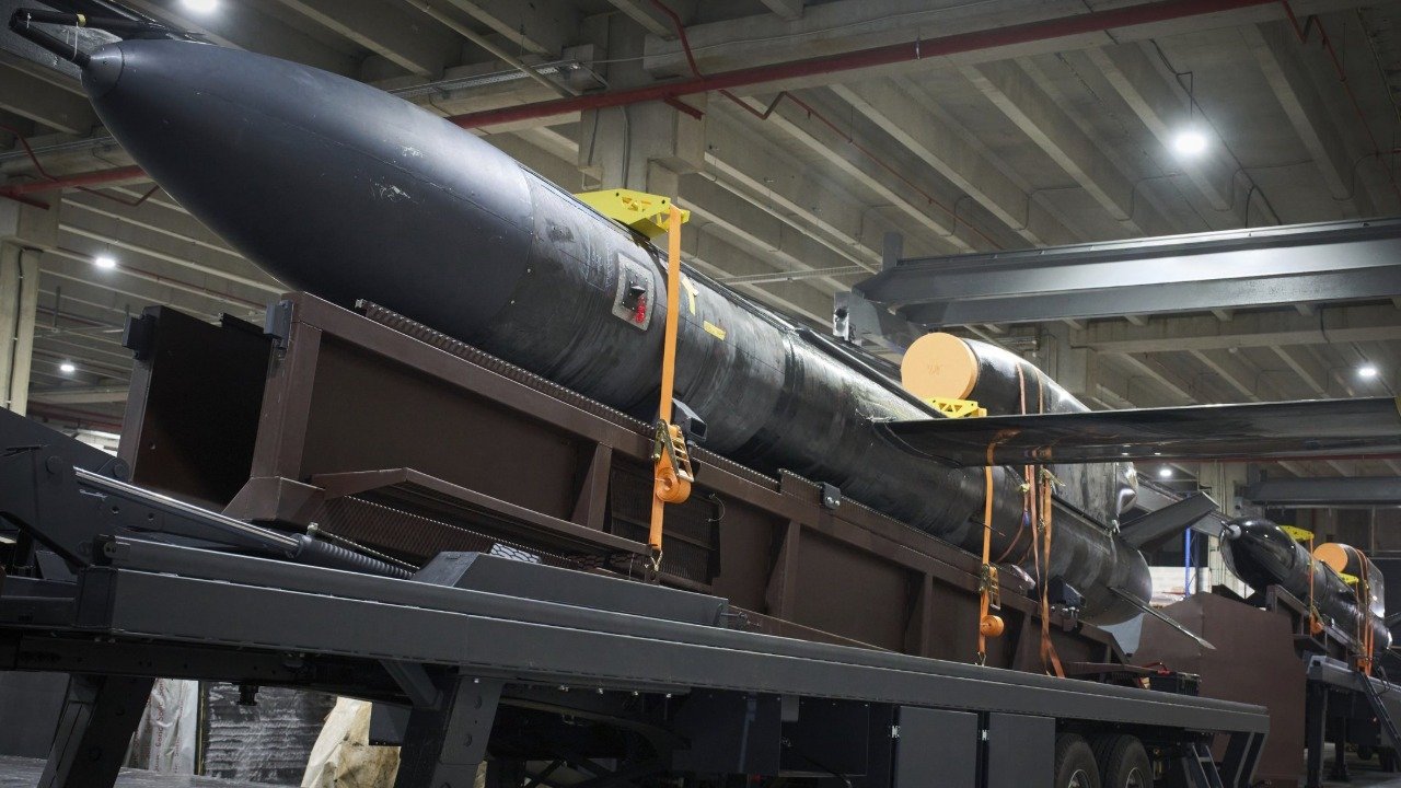 Миндич хотел получить 50% компании, производящей ракеты «Фламинго», — совладелец Fire Point