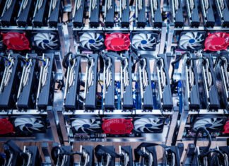 Bitfarm оставляет майнинг криптовалют и полностью переходит на ИИ после рекордных убытков более $45 млн