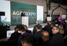 Food from Ukraine: Україна домовилась з Ганою про створення логістичного хабу для українських продуктів в Західній Африці.