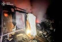 Мужчина пострадал во время самостоятельного тушения пожара в Одесской области