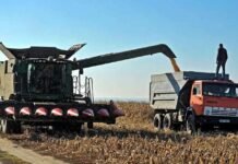 Міжнародний фонд ООН IFAD запускає проєкт на $15 млн для підтримки малих фермерів в Україні.