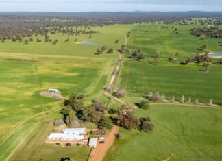 На Полтавщині продають підприємство з виробництва будматеріалів, а на Одещині – агрокомпанію з земельним банком 1 300 гектарів.
