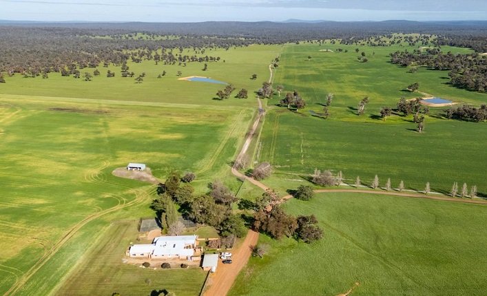 На Полтавщині продають підприємство з виробництва будматеріалів, а на Одещині – агрокомпанію з земельним банком 1 300 гектарів.