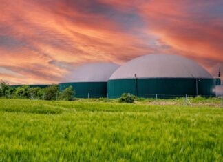 Агрохолдинг “Галс Агро” вже генерує понад 15 МВт і вважає біоенергетику своїм стратегічним напрямом.