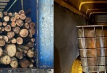 Незаконный лес и дизель: патрульные Одессы остановили подозрительный транспорт, – ФОТО