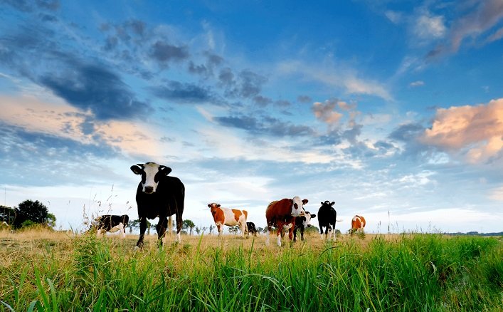 Уряд посилює підтримку аграріїв на прифронтових територіях.