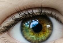 Бесплатная проверка зрения для одесситов: когда и где можно пройти обследование