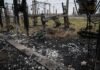 Німеччина нарощує підтримку України напередодні зими.