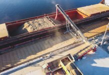 Як Україна торгує агропродукцією під час війни?