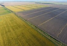 На Заході України продають банк сільськогосподарської землі площею 2 800 гектарів та прибутковий гірськолижний курорт.