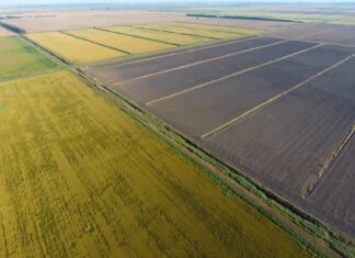 На Заході України продають банк сільськогосподарської землі площею 2 800 гектарів та прибутковий гірськолижний курорт.