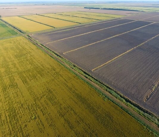 На Заході України продають банк сільськогосподарської землі площею 2 800 гектарів та прибутковий гірськолижний курорт.