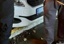 Тянул за хвост и бил палкой: на одессита завели дело за издевательство над собакой