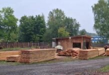 Депутат в схеме с контрабандой: сосну вывозили через Одесщину в другую страну, — ФОТО