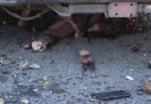 Тела людей прямо на улице: в ГСЧС показали фото и видео с места российского удара в Одесской области