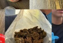 Семейный бизнес на наркотиках: в Одессе разоблачили пару, торговавшую кратом и каннабисом в кафе