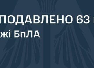 Сколько российских дронов уничтожило ПВО во время ночной атаки на Украину