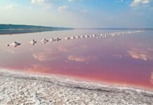 Забезпечить понад 50% вітчизняного ринку: На Одещині незабаром запустять завод з виробництва солі.