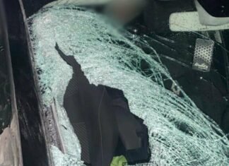 Смертельное ДТП на трассе Одесса-Киев: Renault сбил 32-летнюю женщину, перебегавшую дорогу в темноте, — ФОТО