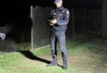 Пьяный в восемь раз выше нормы: водитель ВАЗ сбил двух девушек в Одесской области и скрылся, проломив забор