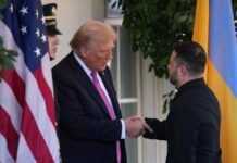 Зеленский обратился к Трампу в День благодарения: ожидаем развития дипломатии