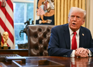 «Многие люди хотят увидеть, как это сработает»: Трамп прокомментировал идею создания буферной зоны на Донбассе (видео)