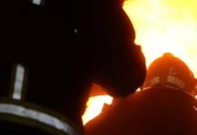 Более 50 спасателей и поезд задействовали для тушения пожаров в Одесской области, — ФОТО